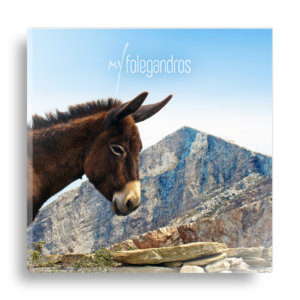 Φολέγανδρος